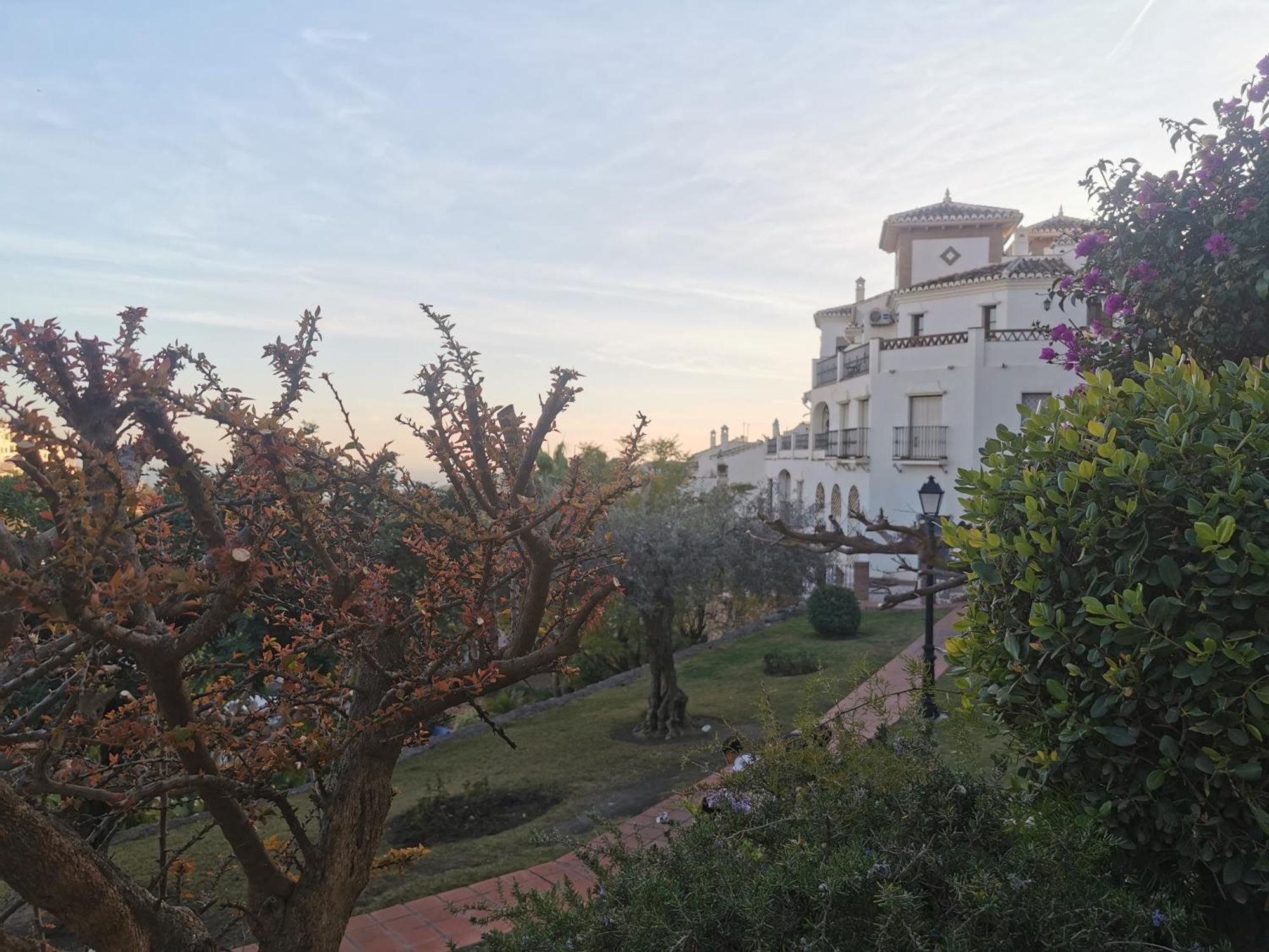 Apartamento Maria Platero Centrico Y Con Las Mejores Vistas Del Casco Antiguo La Montana Y El Mar Mediterraneo Frigiliana Buitenkant foto